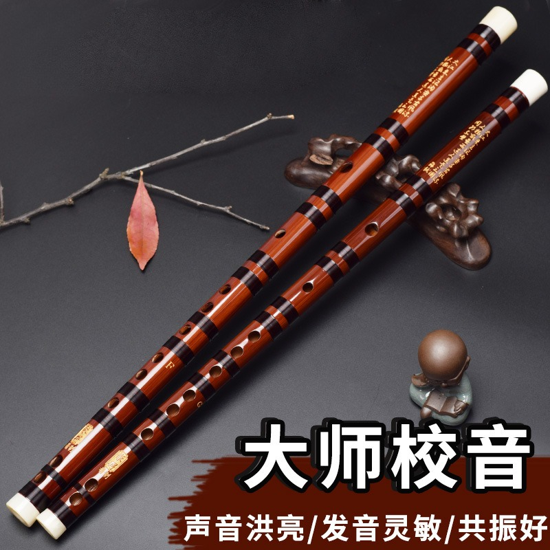 Flauta Dizi Profesional de Bam - Musical Instrument Easy To Learn For Adults reseña y precio