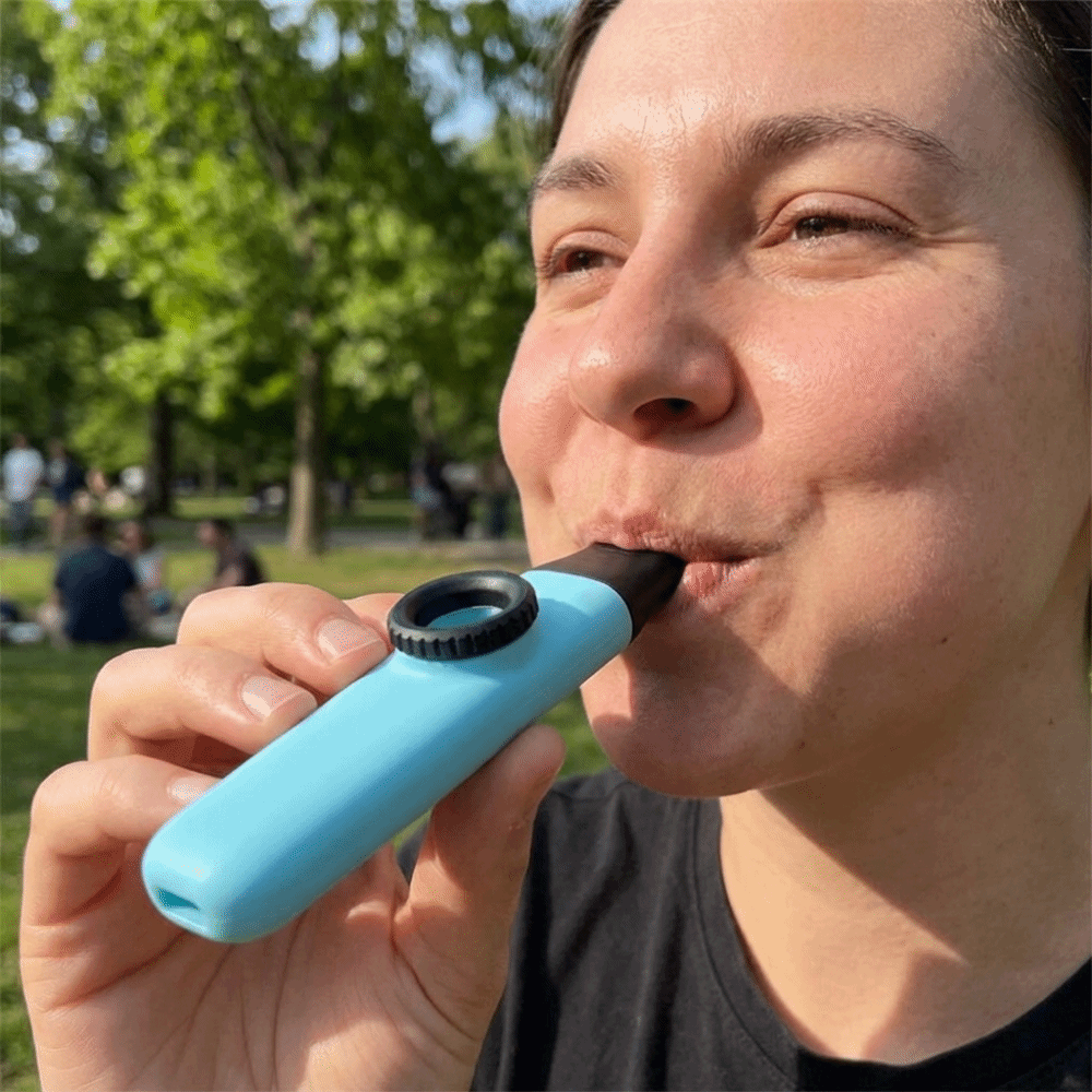Divertida flauta kazoo portáti - Musical Instrument Easy To Learn For Adults reseña y precio