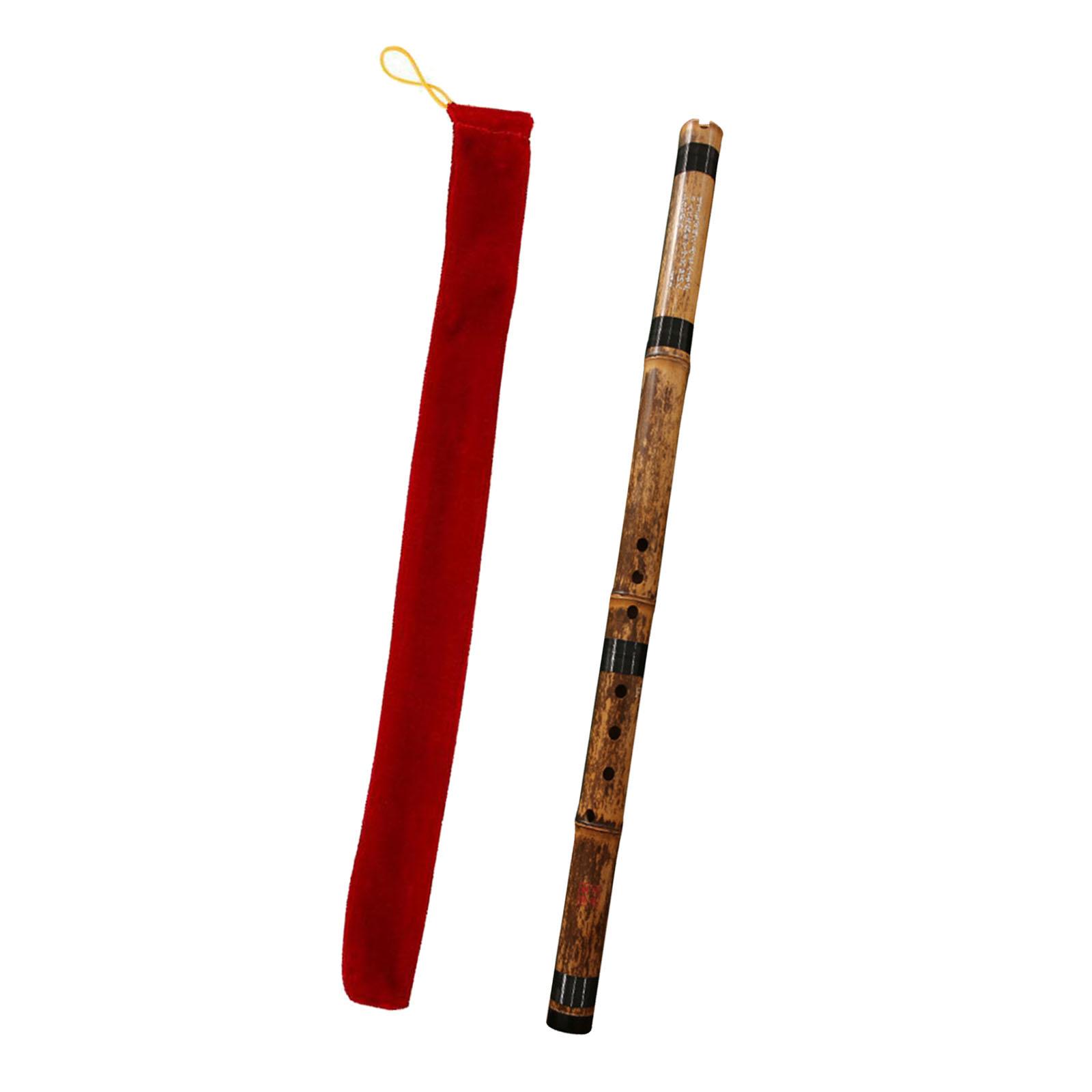 Flauta, Instrumento Musical Cl - Musical Instrument Easy To Learn For Adults reseña y precio