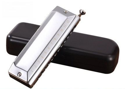 Armónica semicromática de 12 y - Musical Instrument Easy To Learn For Adults reseña y precio